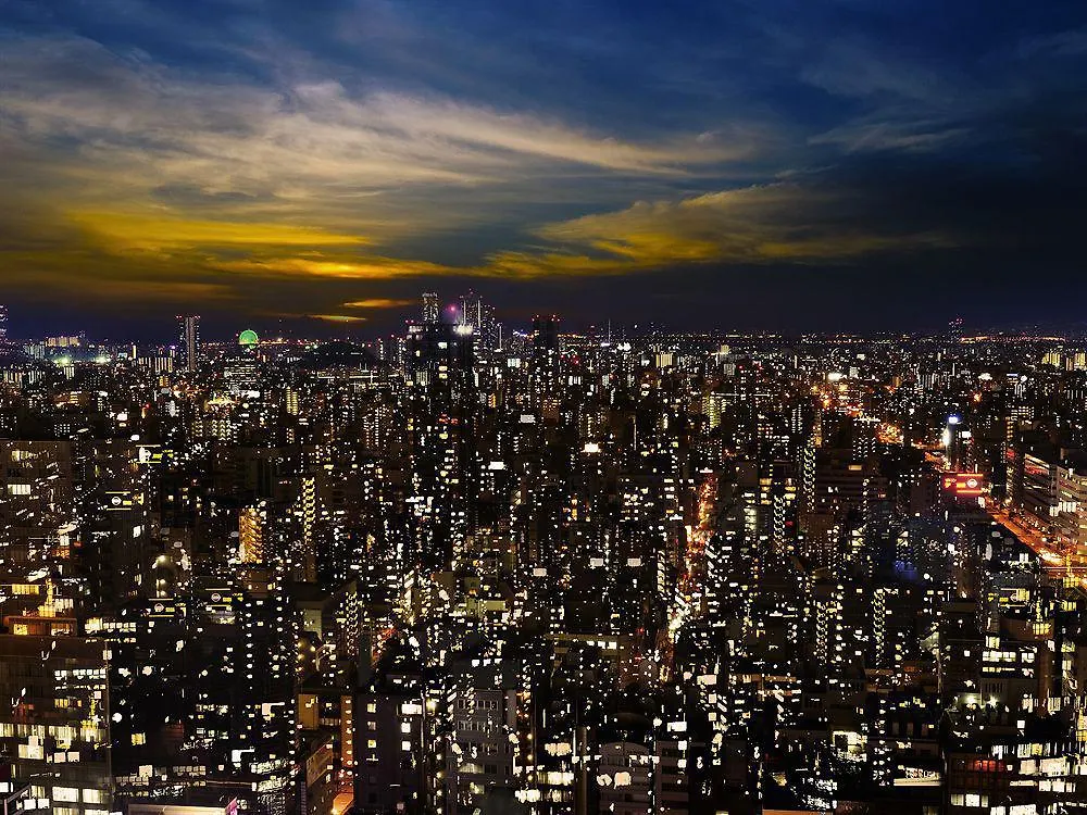Hotel Nikko Osaka